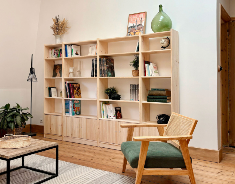 bibliothèque séjour