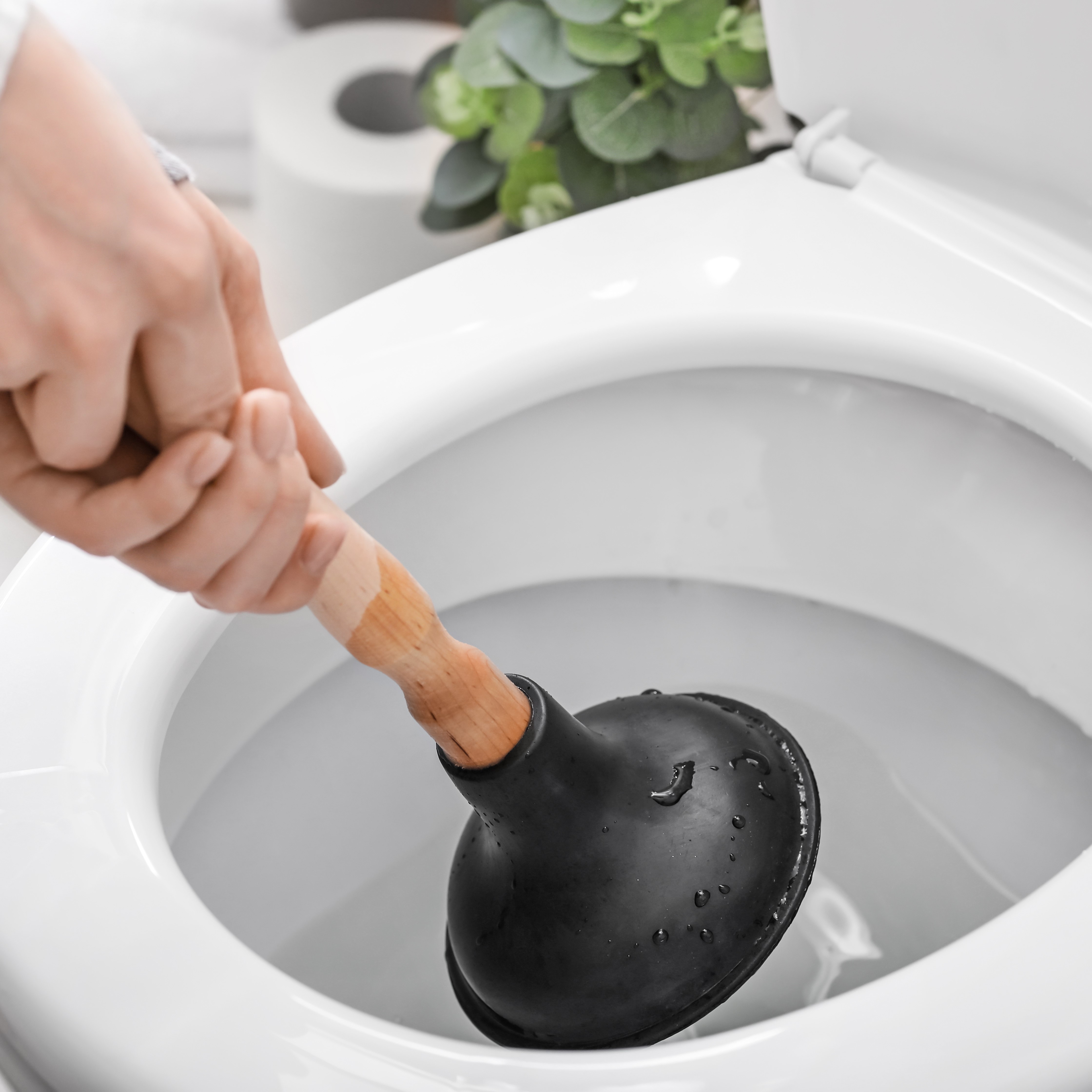 Produits d'entretien (déboucheur, consommable…)