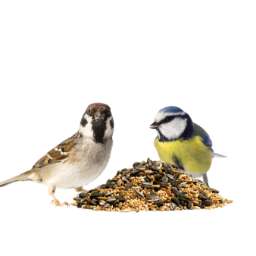 Alimentation et accessoires