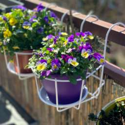 Supports de pot et suspensions