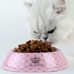 Accessoires alimentation