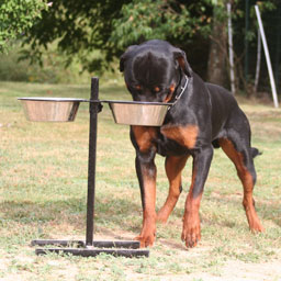 Accessoires alimentation