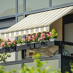 Auvents et marquises