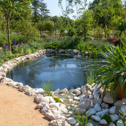 Bassins préformés et liners