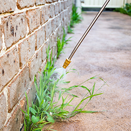 Désherbants et herbicides