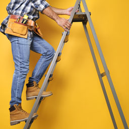 Escabeaux et échelles