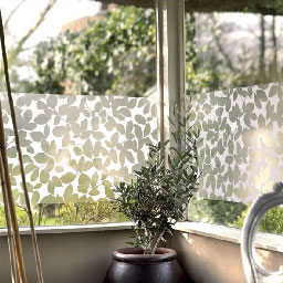 Films vitrostatiques