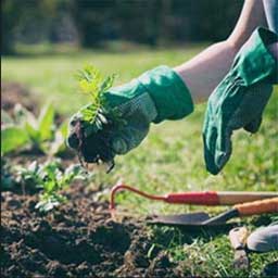 Gants de jardinage