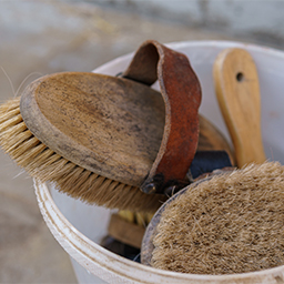 Hygiène et soin cheval