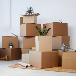 Cartons et rouleaux adhésifs