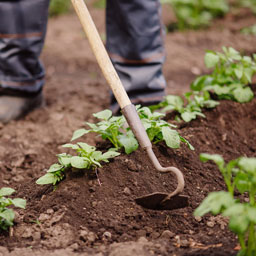 Outillage d'entretien du jardin