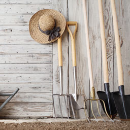 Outils du jardin