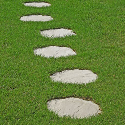 Pavés et pas japonais