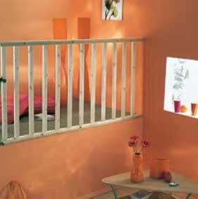 Rampes d'escalier et balustrades