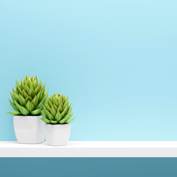 Tablettes et supports