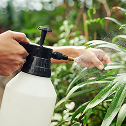 Traitements et soins des plantes