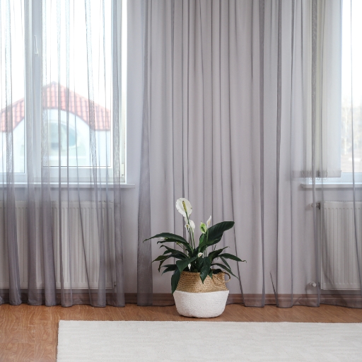 Décoration des fenêtres