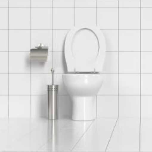 WC à poser