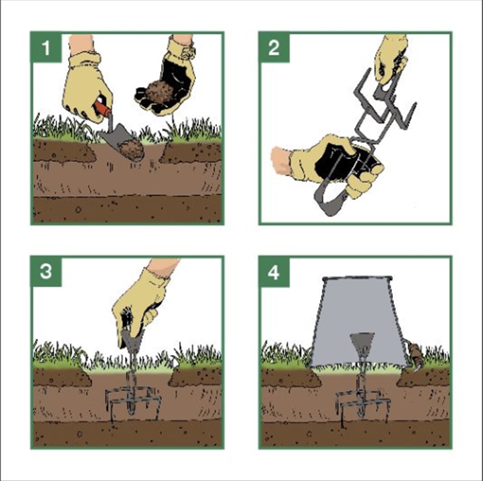 Piège à mulots pince blister