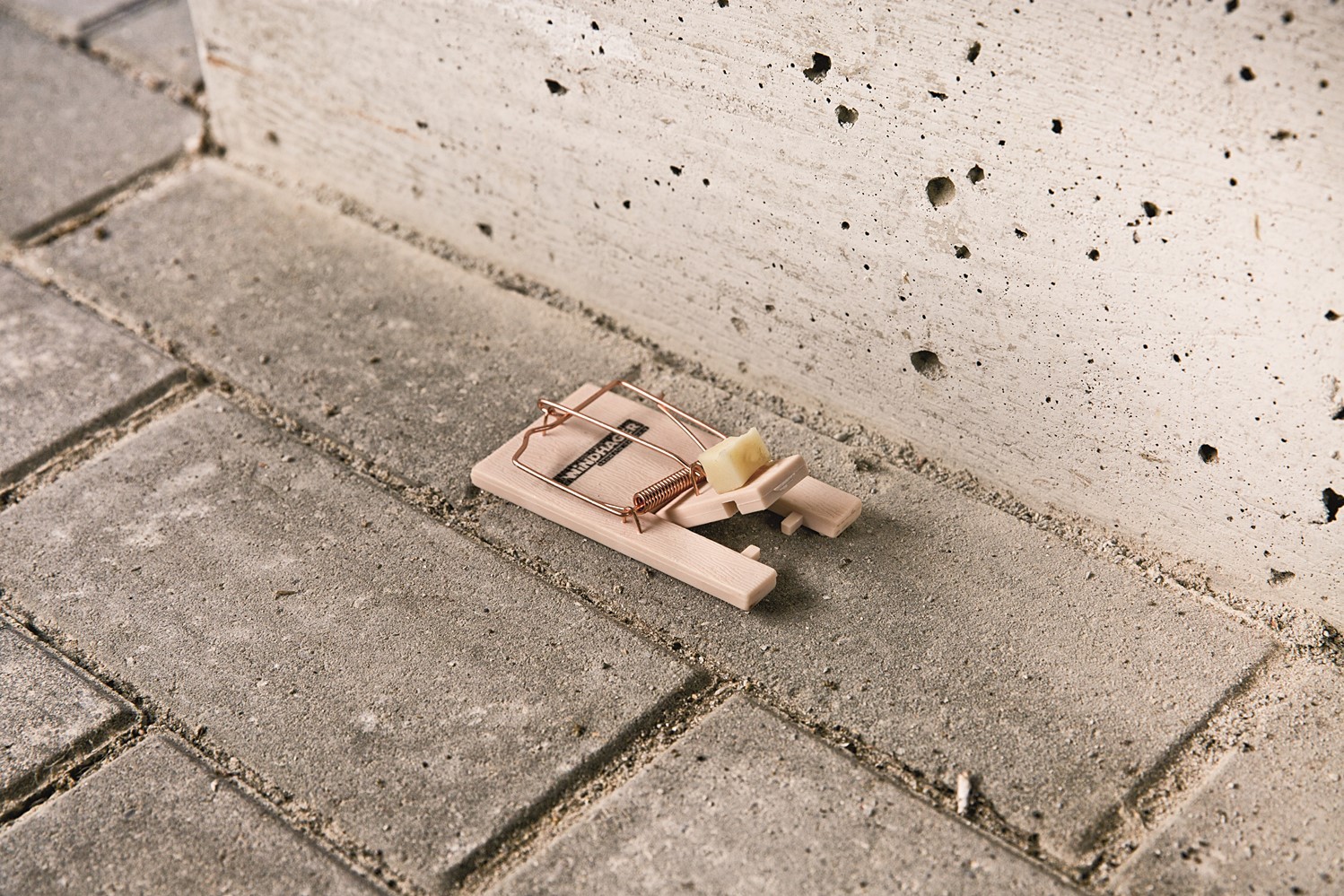 Tapette à souris CLASSIC WOOD