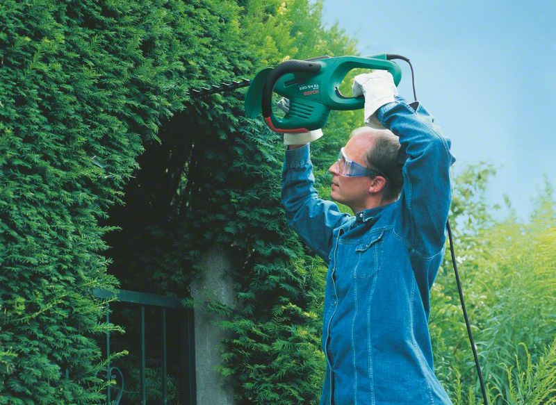 Taille-haie électrique AHS 550-24 st - BOSCH