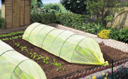 Film de forçage maraicher ldpe 70 microns 2x5m - NORTENE