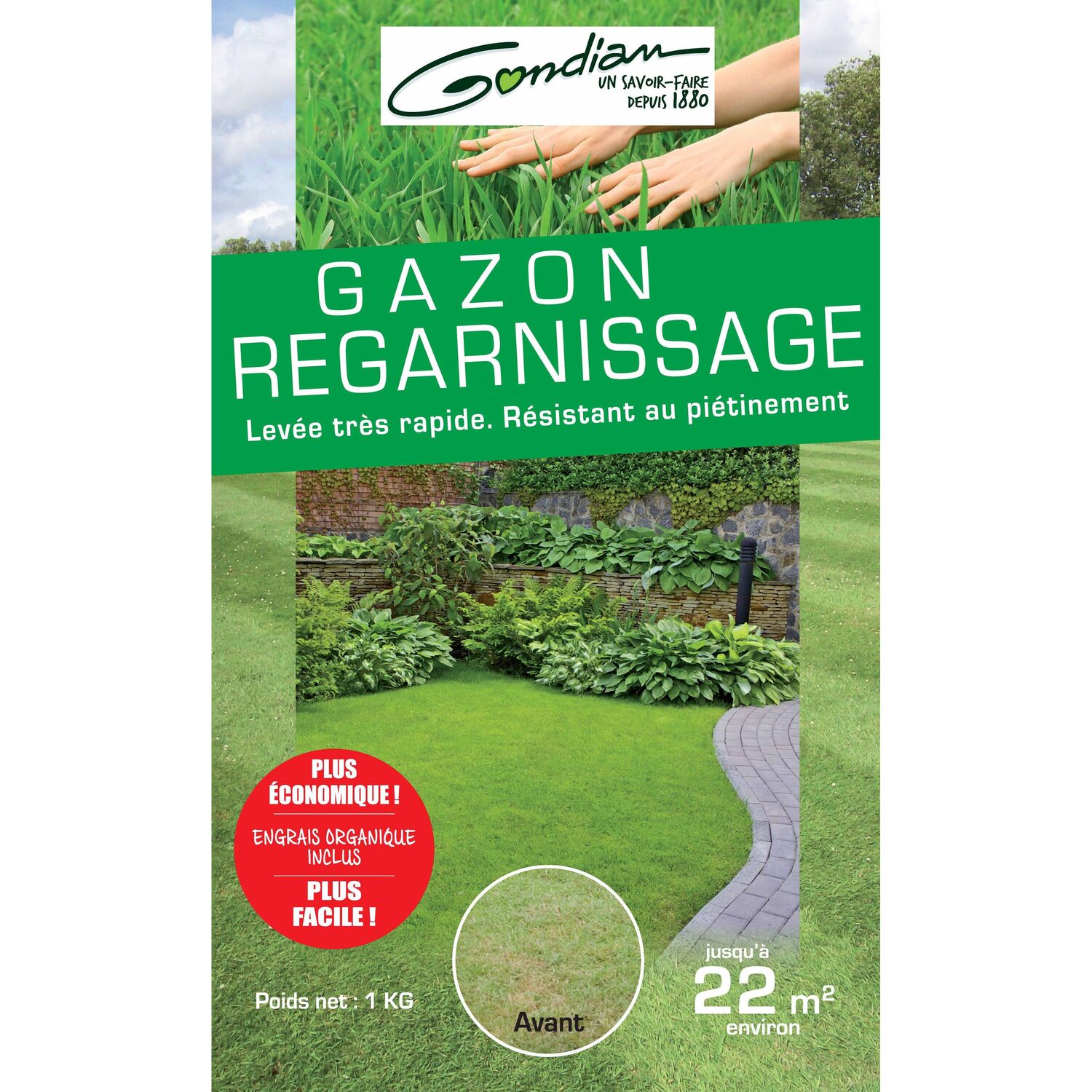 Gazon regarnissage 1 kg
