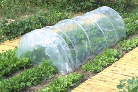 Tunnel accordéon film  (arceaux métal) 0,60x0,45x3m - NORTENE