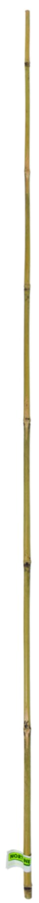 Tuteur bambou naturel lot 1 gencodé Ø 16/18mmx2,10m - INTERMAS