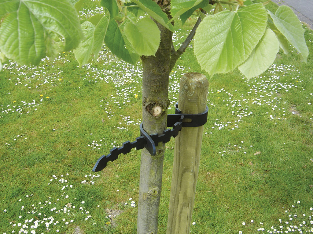 selfix ( 2 colliers arbres) 60x3 cm - NORTENE