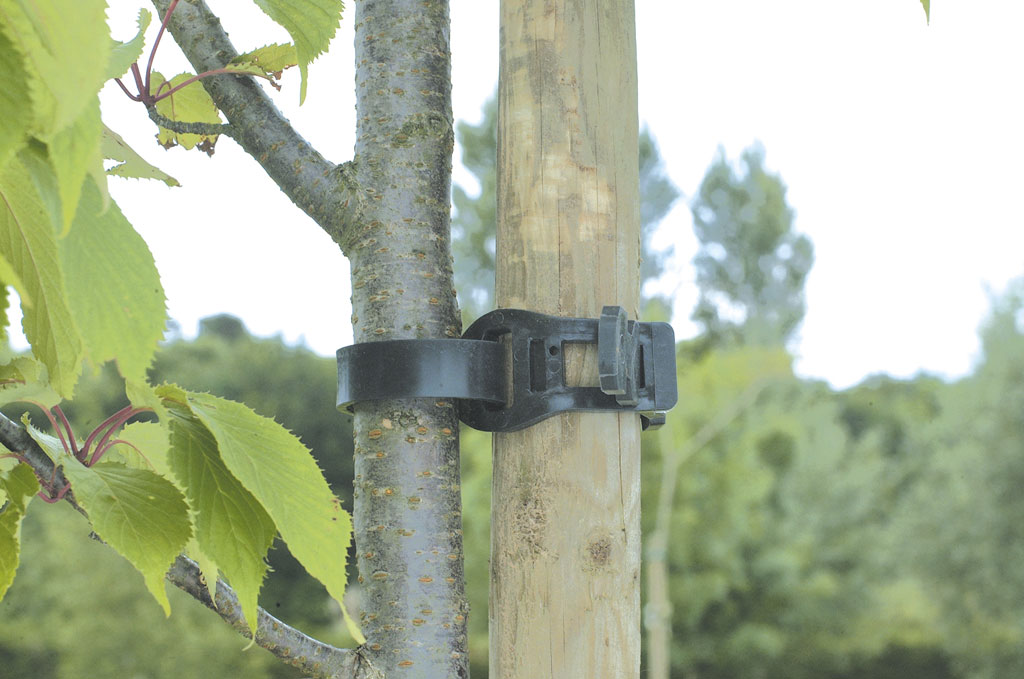 tree tie (collier arbre eva) 0,55m - NORTENE