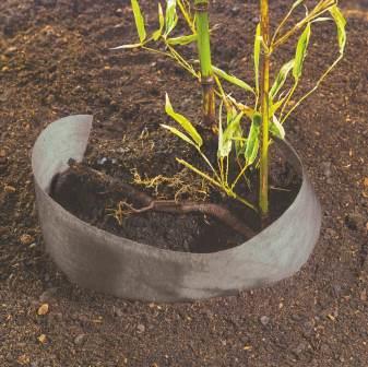 feutre renforcé pour plantation et contrôle des bambous 0,75x3m - NORTENE