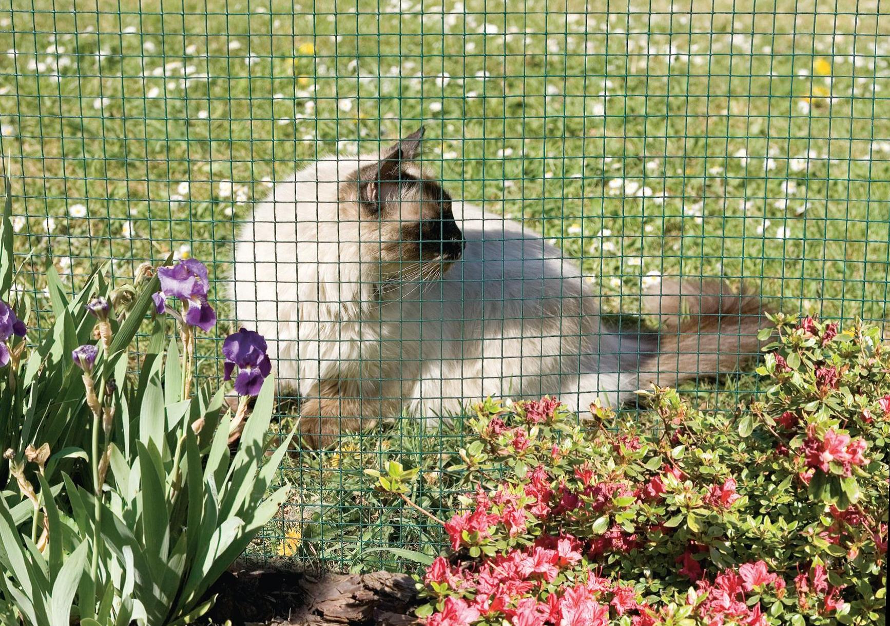 Fensanet plast 25 grillage metal plastifié carré vert 0,50x5m - INTERMAS