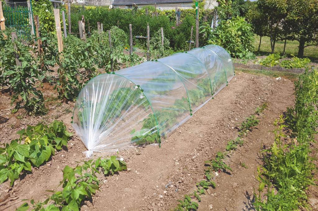 Arceaux fibre de verre multiusage ARC FG diam 6mmx2,5m