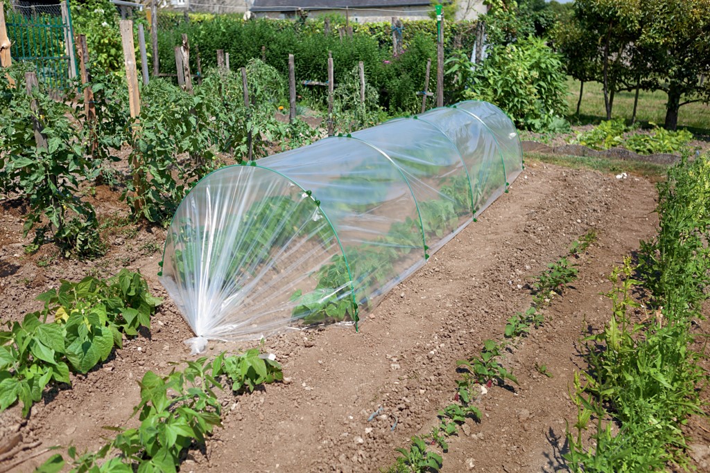 Clip de fixation sur arceaux fibre de verre dia 6mm x 12 cm - NORTENE