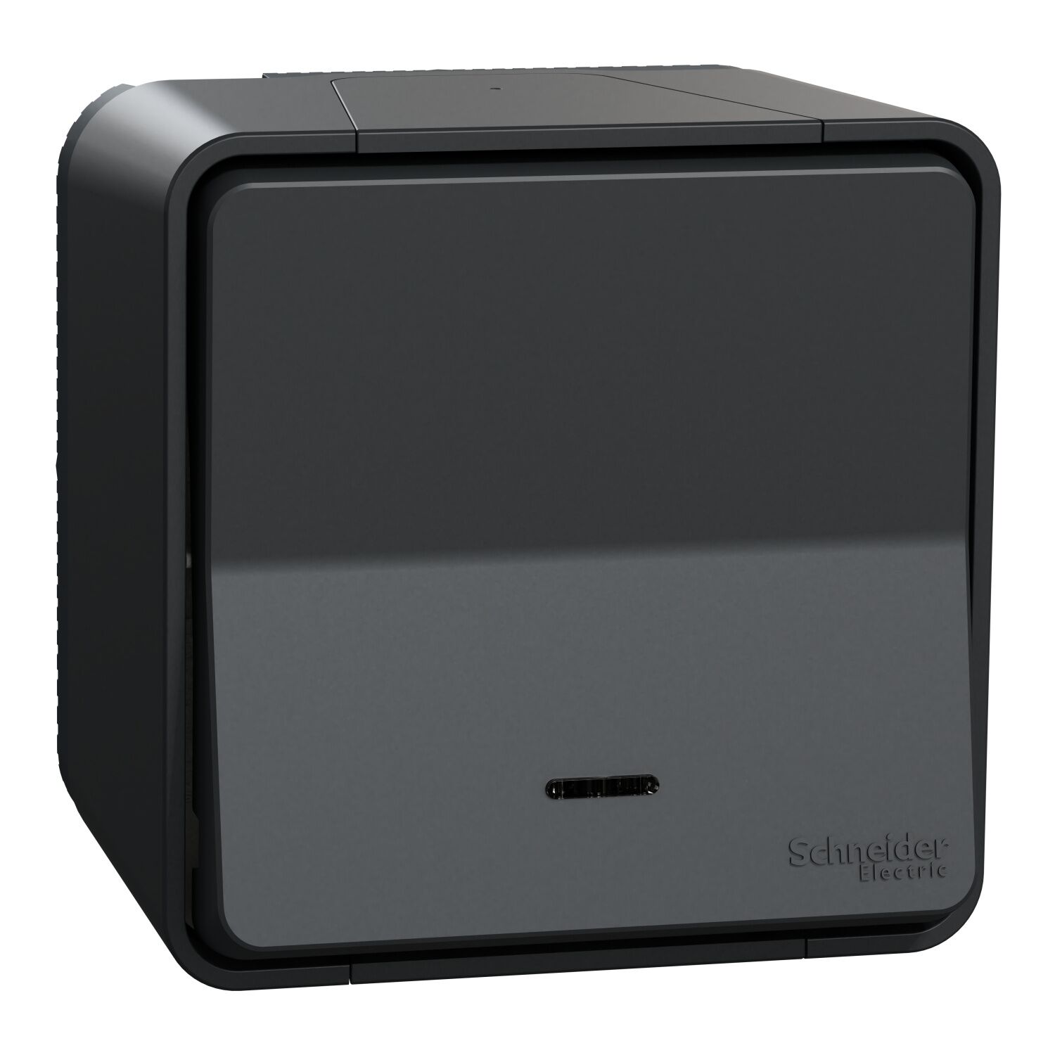 Poussoir lumineux étanche saillie Mureva Styl anthracite - SCHNEIDER ELECTRIC