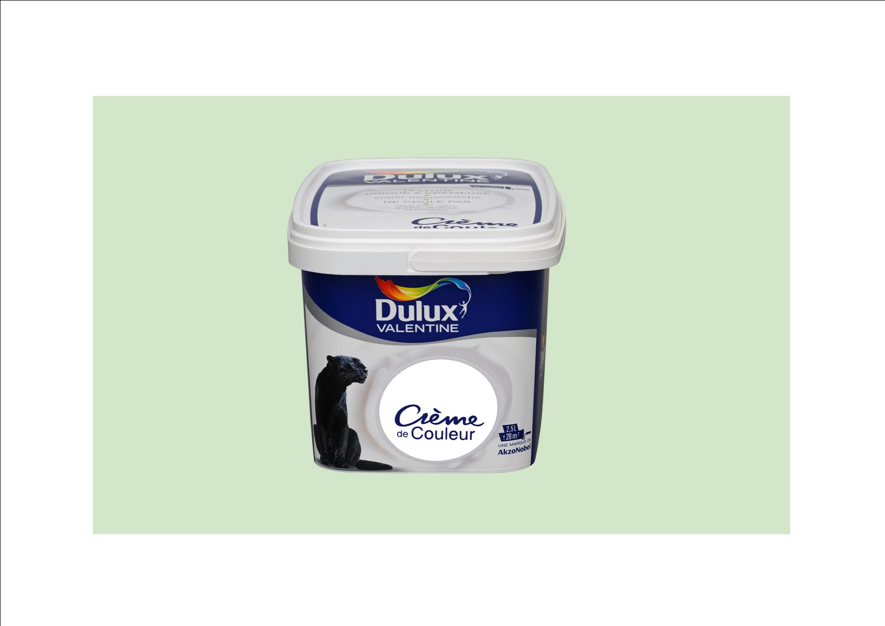 Peinture intérieure Crème de couleur satin Vert d'Eau 0,5L - DULUX VALENTINE