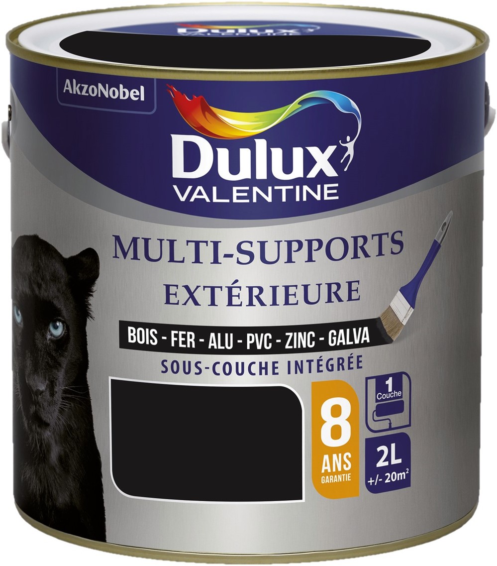 Peinture multisupport extérieure 2L Noir