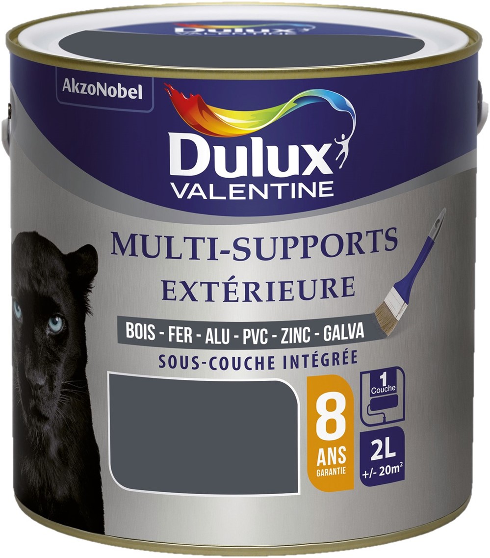 Peinture multisupport extérieure 2L Gris Sombre