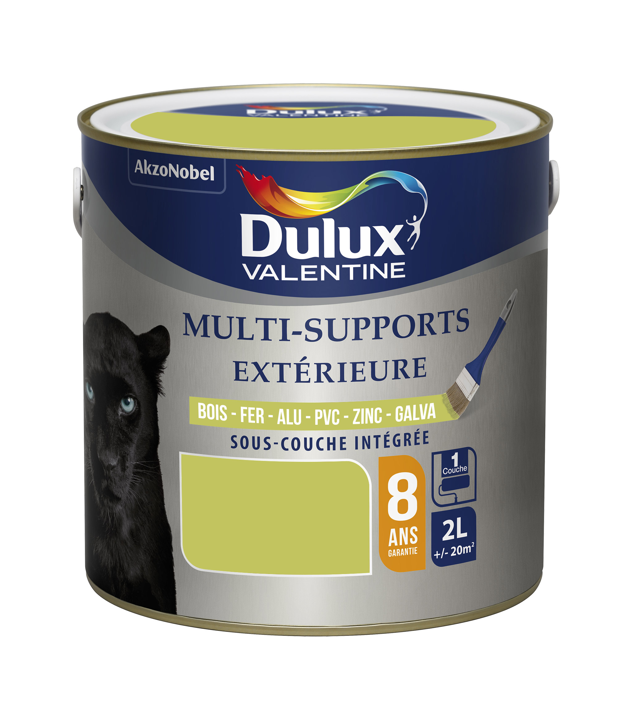 Peinture multisupport extérieure 2L Vert Anis