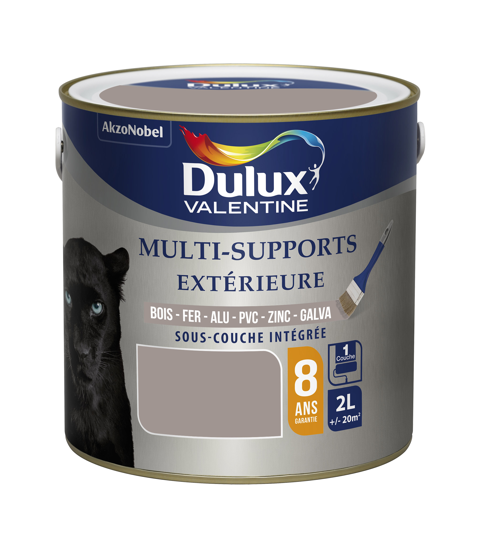 Peinture multisupport extérieure 2L Terre Cendrée