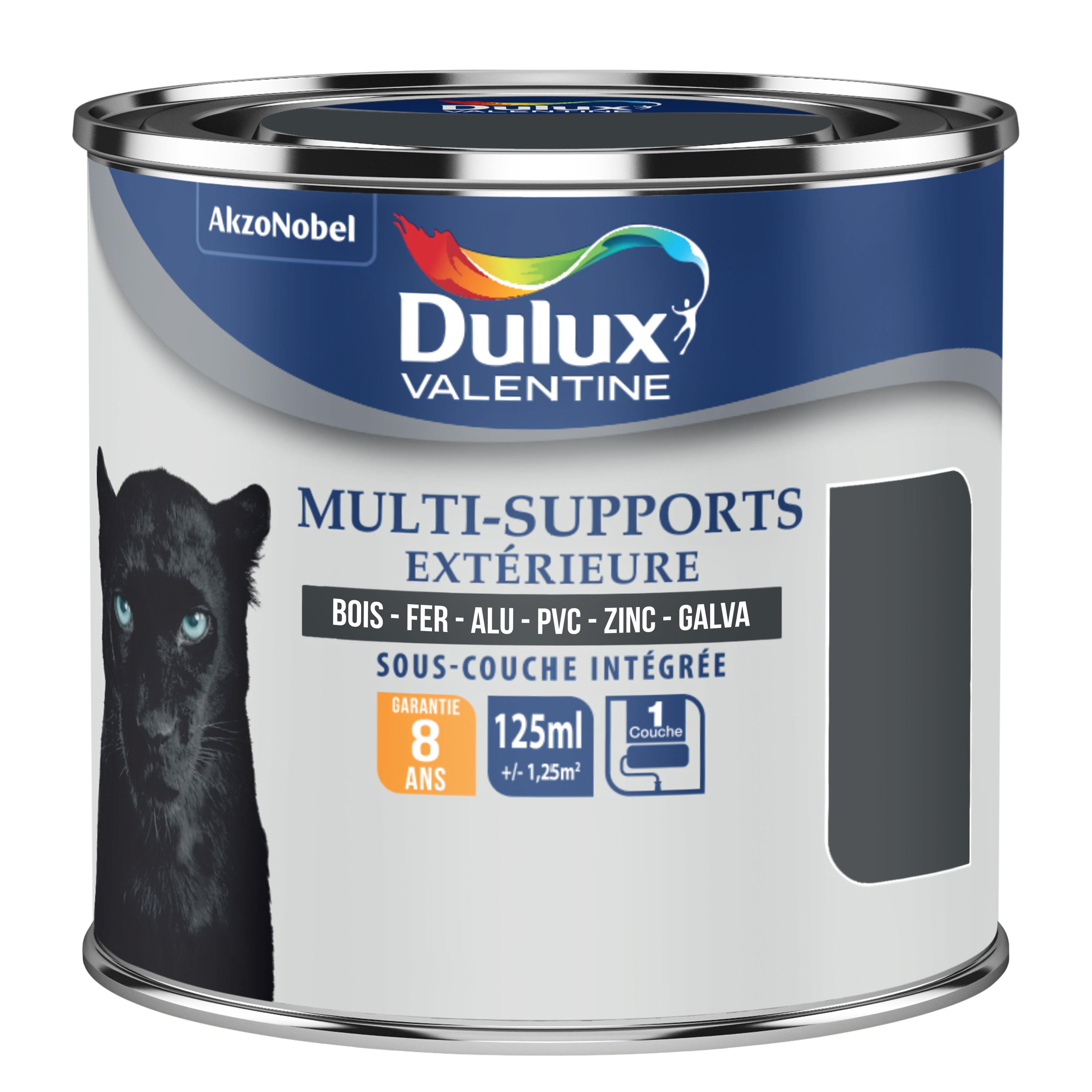 Peinture Multi-Supports Extérieur Dulux Valentine Satin Gris Sombre 0,125 L