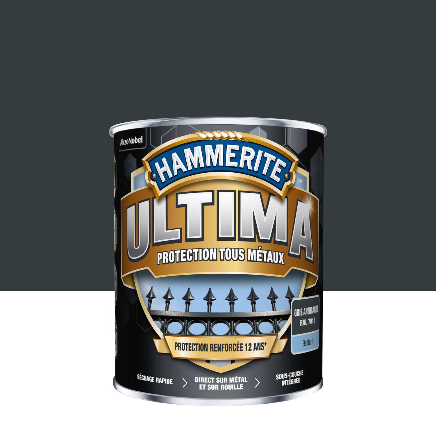 Peinture Tous Métaux Gris Anthracite Brillant 2,5L - HAMMERITE ULTIMA