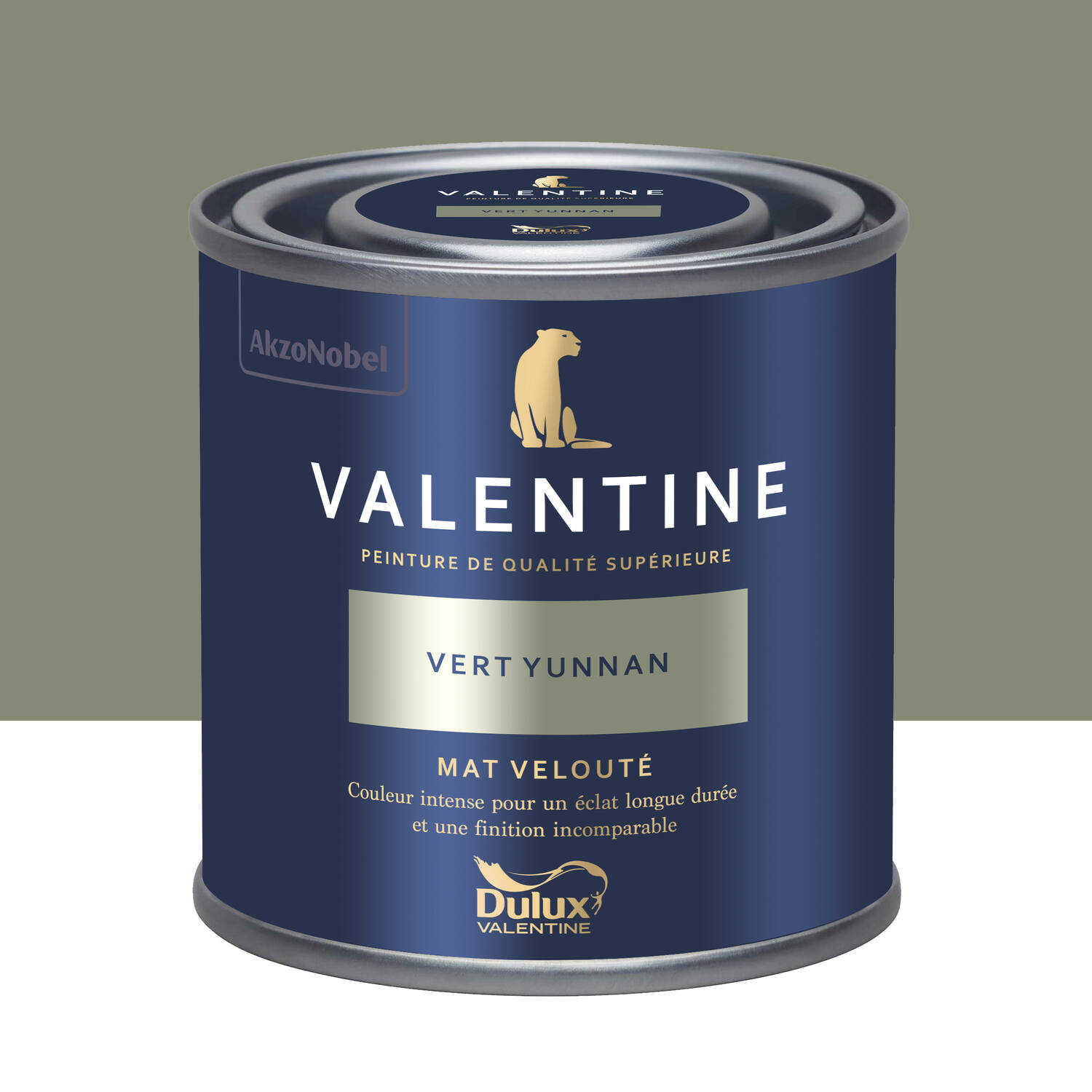 Peinture Valentine Mat Velouté Vert Yunnan 0,125L- DULUX VALENTINE