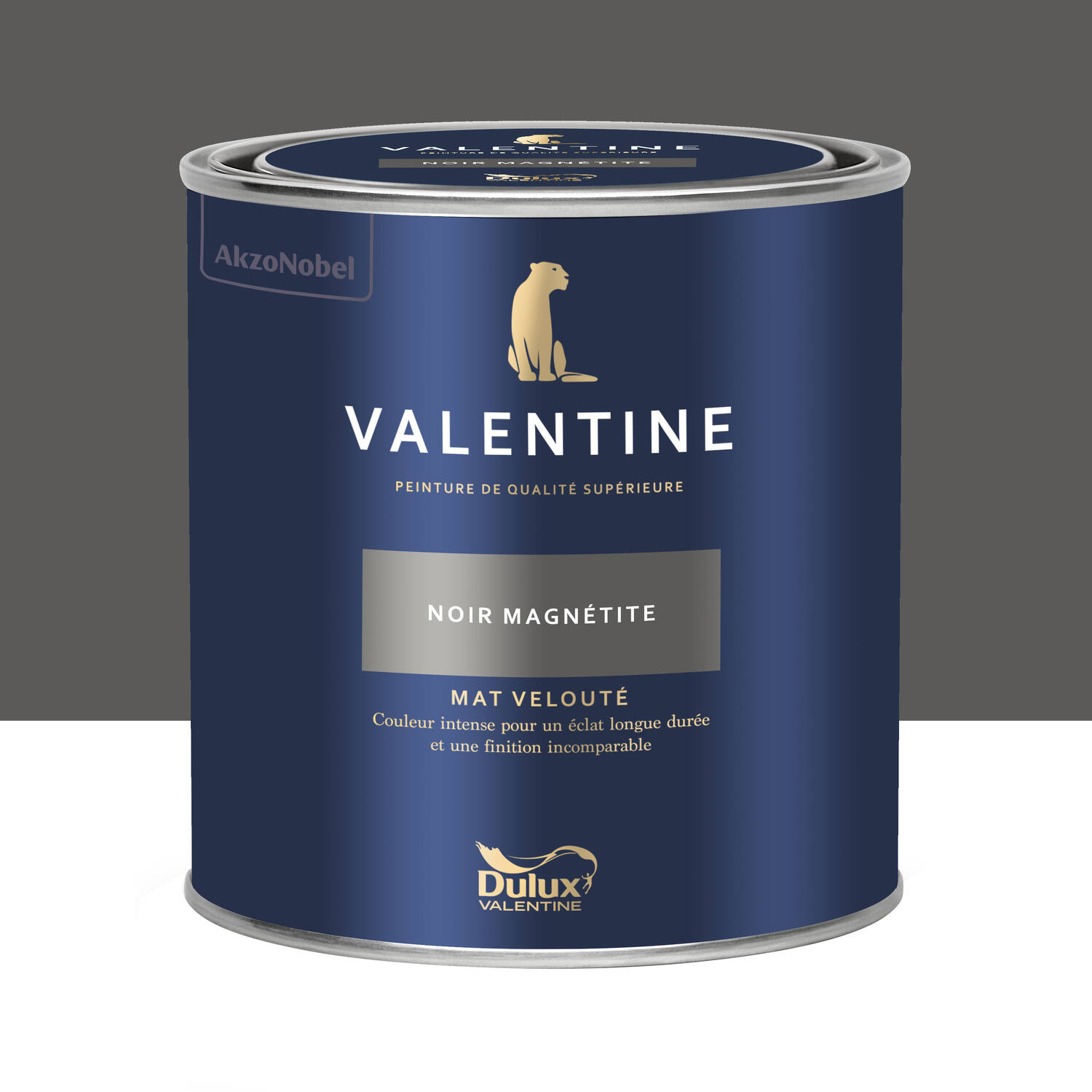 Peinture Valentine Mat Velouté Noir Magnétite 0,5L- DULUX VALENTINE