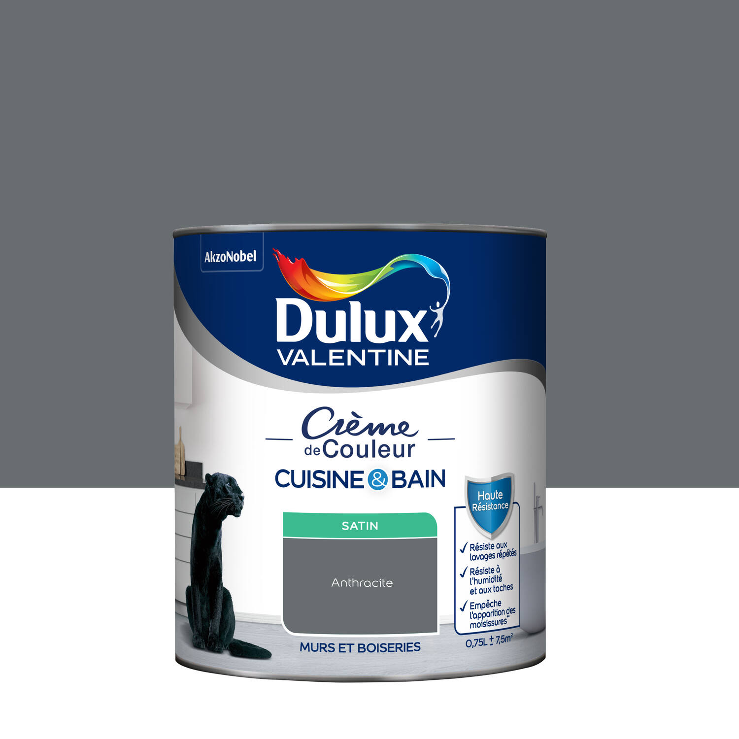 Peinture Crème de Couleur Cuisine et Bain Satin Anthracite 0,75L - DULUX VALENTINE