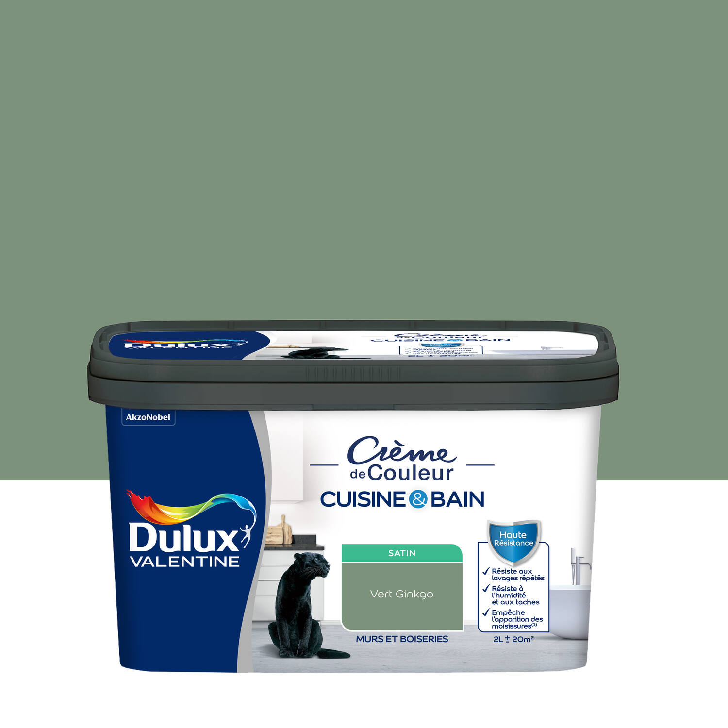 Peinture Crème de Couleur Cuisine et Bain Satin Vert Ginkgo 2L - DULUX VALENTINE