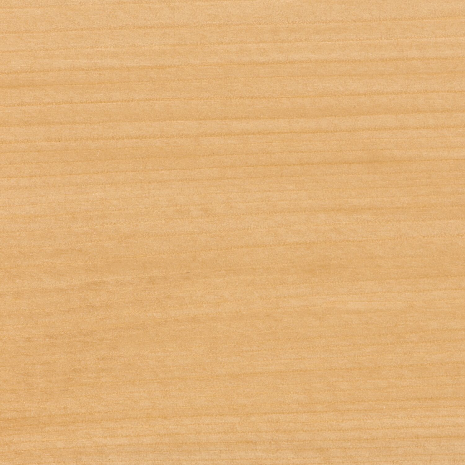 Sous-couche avant vitrification incolore 2,5 L - V33