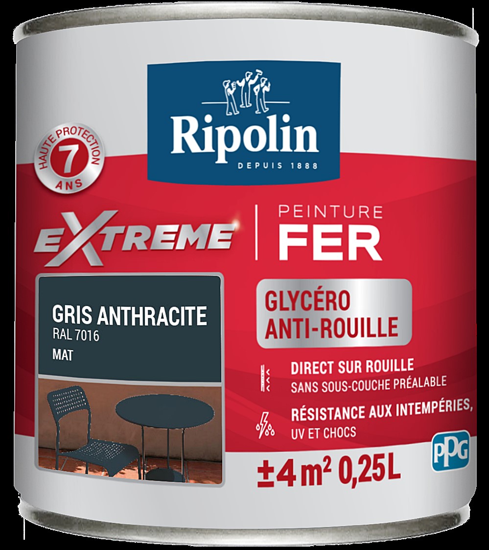 Peinture Extrême fer 0,25L mat gris anthracite RIPOLIN