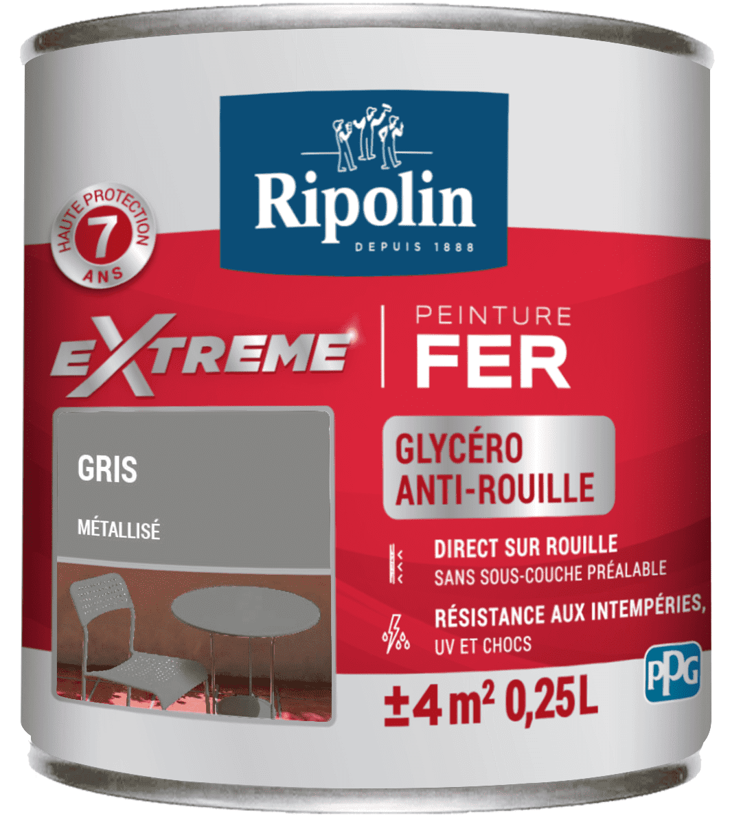 Peinture Extrême fer 0,25L mat gris métal RIPOLIN